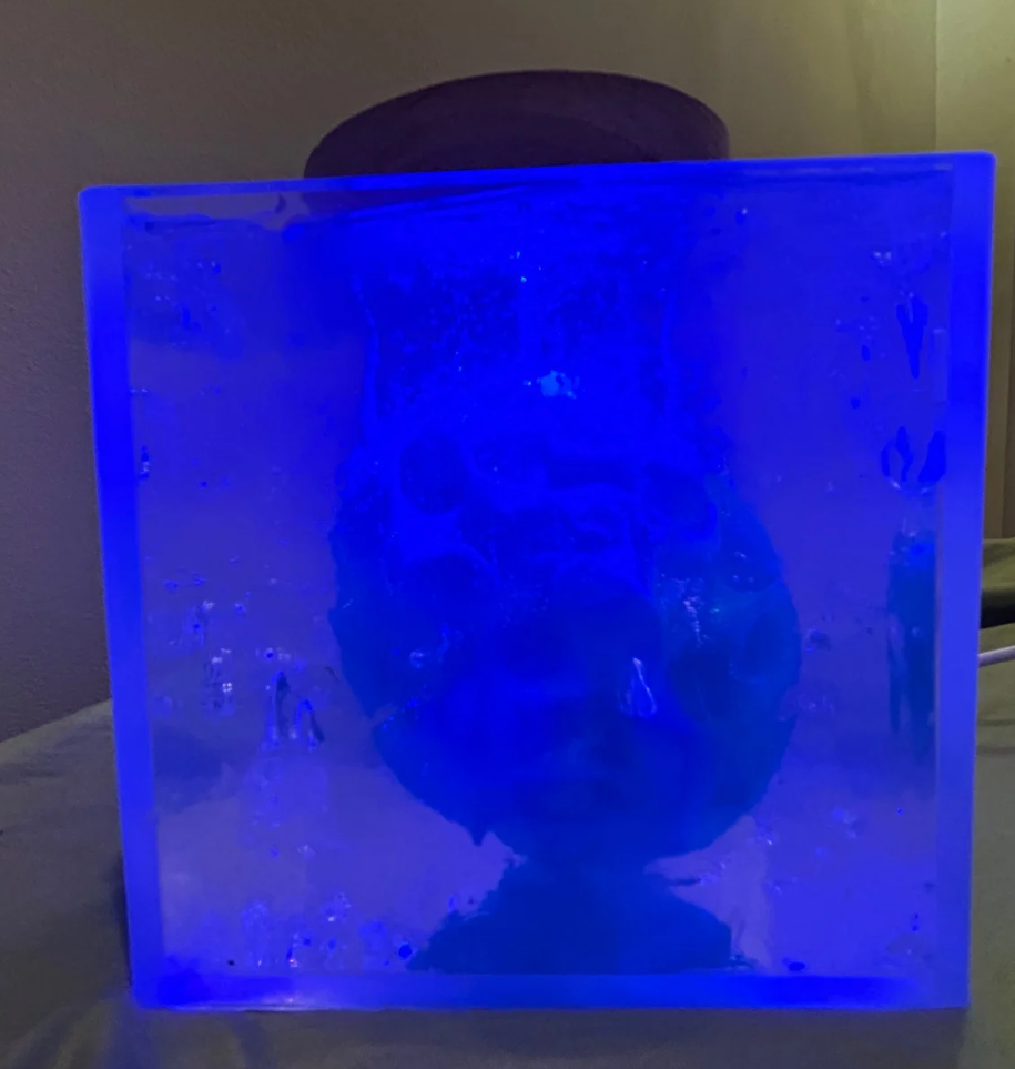 (signed) This Is Not What Thought / Yuri Hasegawa